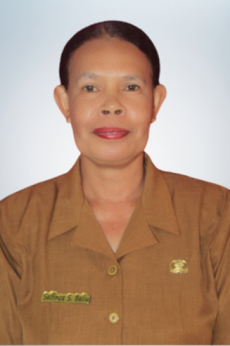 Selfince Sendejultu Beliu